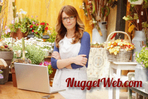 small-business-online-nuggetweb-300x200